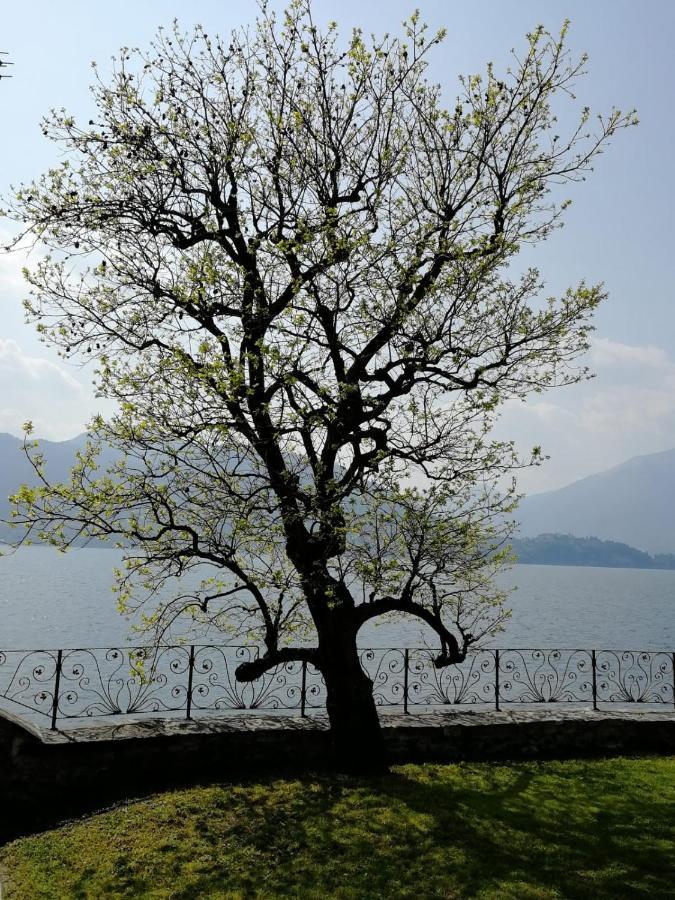 리에르나 L'Antico Borgo, Un Mix Di Storia E Romanticismo 빌라 외부 사진